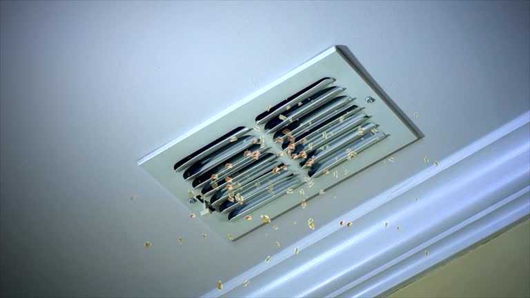 Best Emergency Air Duct Cleaning  in Meggett, SC